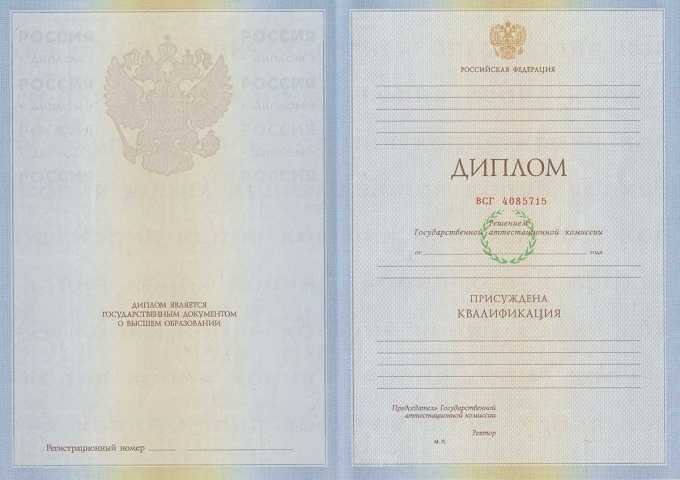 Диплом специалиста 2009-2011 год